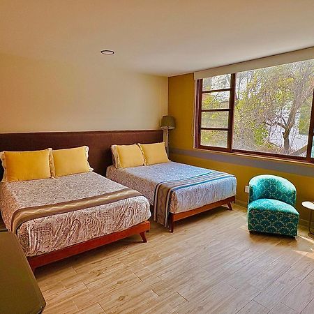 Habitaciones Coyoacan メキシコシティ エクステリア 写真