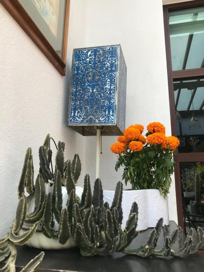Habitaciones Coyoacan メキシコシティ エクステリア 写真